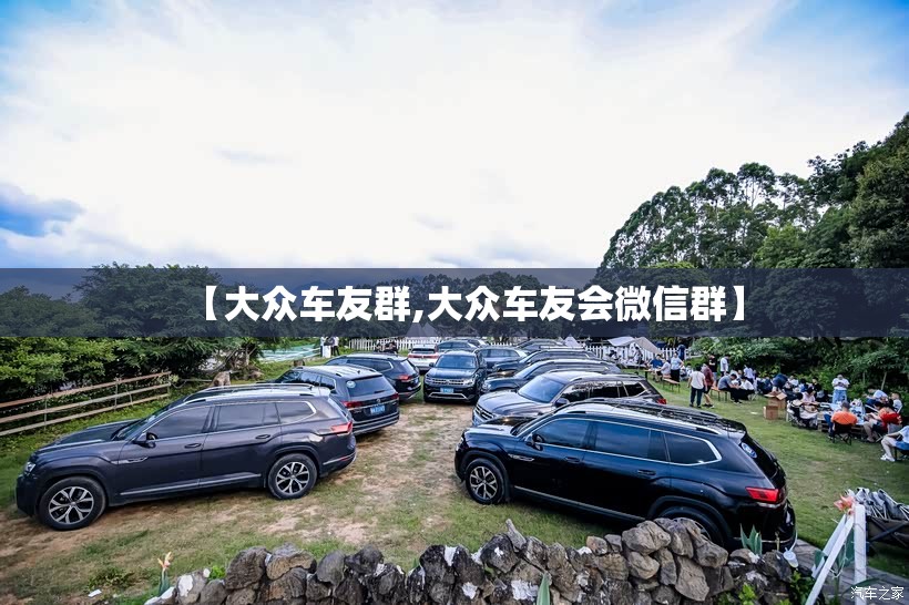 【大众车友群,大众车友会微信群】