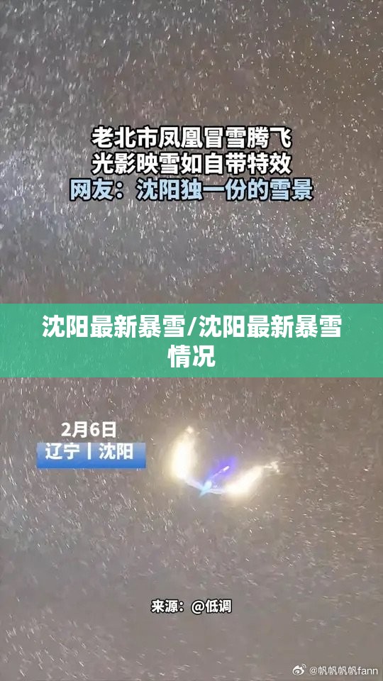 沈阳最新暴雪/沈阳最新暴雪情况 沈阳最新暴雪/沈阳最新暴雪情况