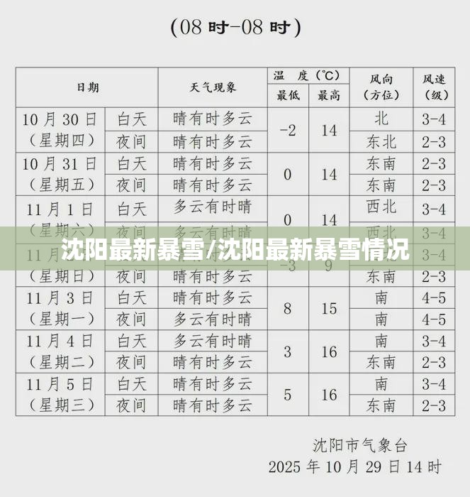 沈阳最新暴雪/沈阳最新暴雪情况 沈阳最新暴雪/沈阳最新暴雪情况
