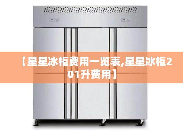 【星星冰柜费用一览表,星星冰柜201升费用】