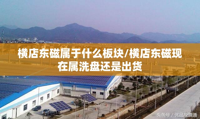 横店东磁属于什么板块/横店东磁现在属洗盘还是出货