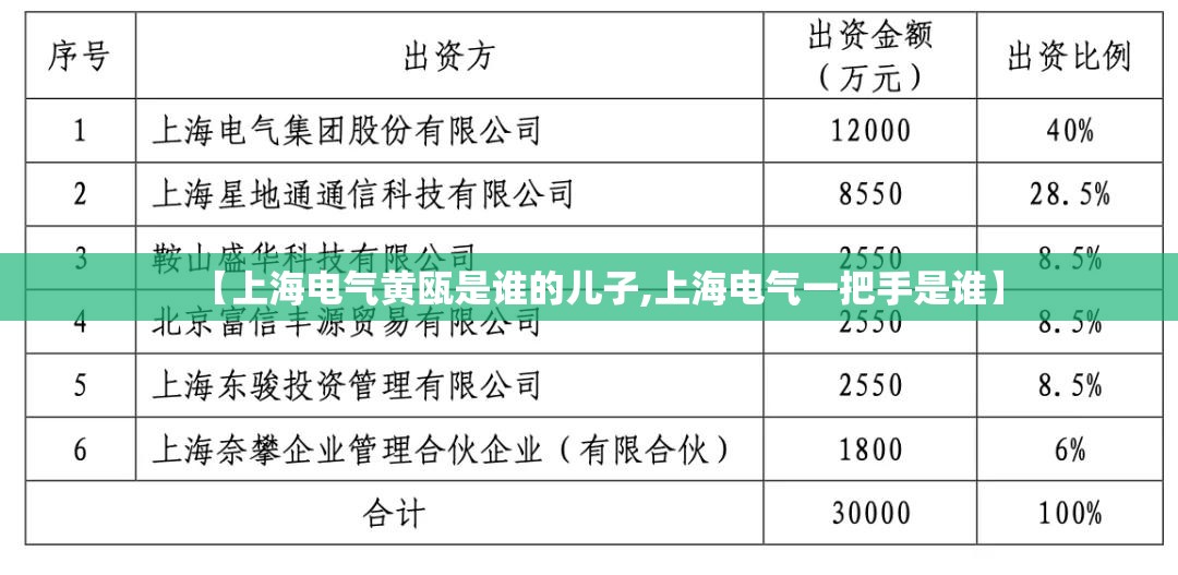 【上海电气黄瓯是谁的儿子,上海电气一把手是谁】