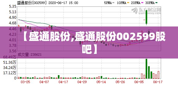 【盛通股份,盛通股份002599股吧】