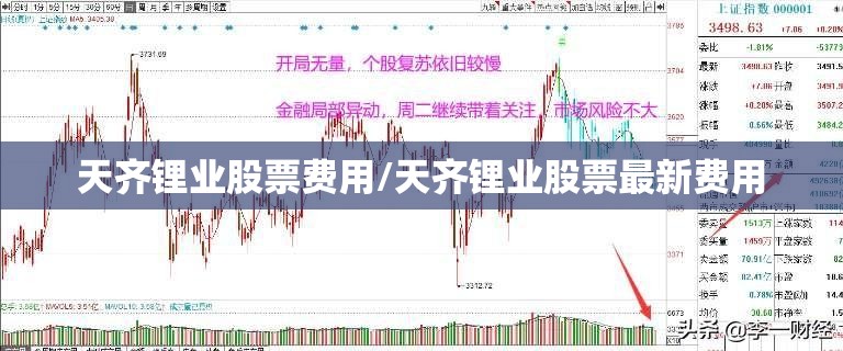 天齐锂业股票费用/天齐锂业股票最新费用 天齐锂业股票费用/天齐锂业股票最新费用