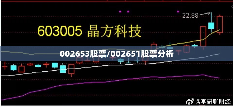 002653股票/002651股票分析