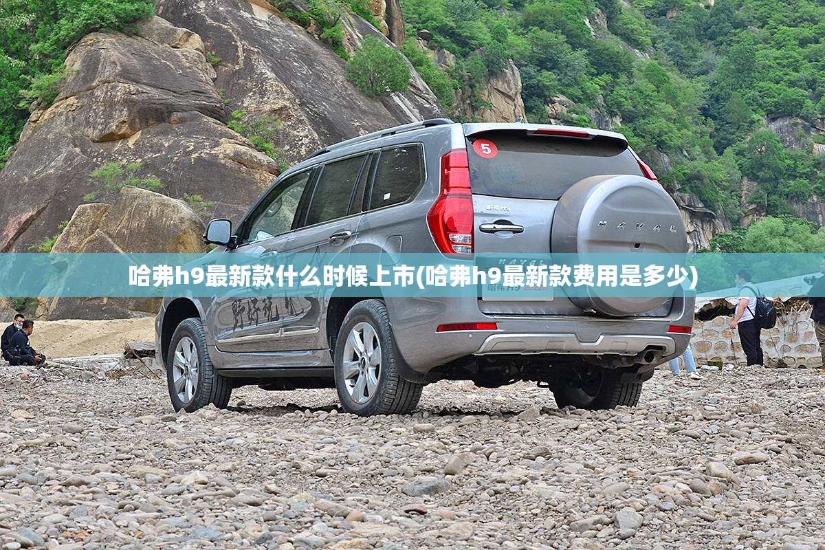 哈弗h9最新款什么时候上市(哈弗h9最新款费用是多少)