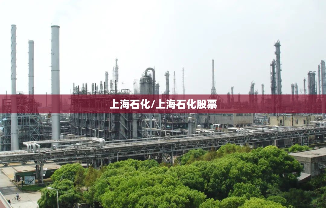 上海石化/上海石化股票