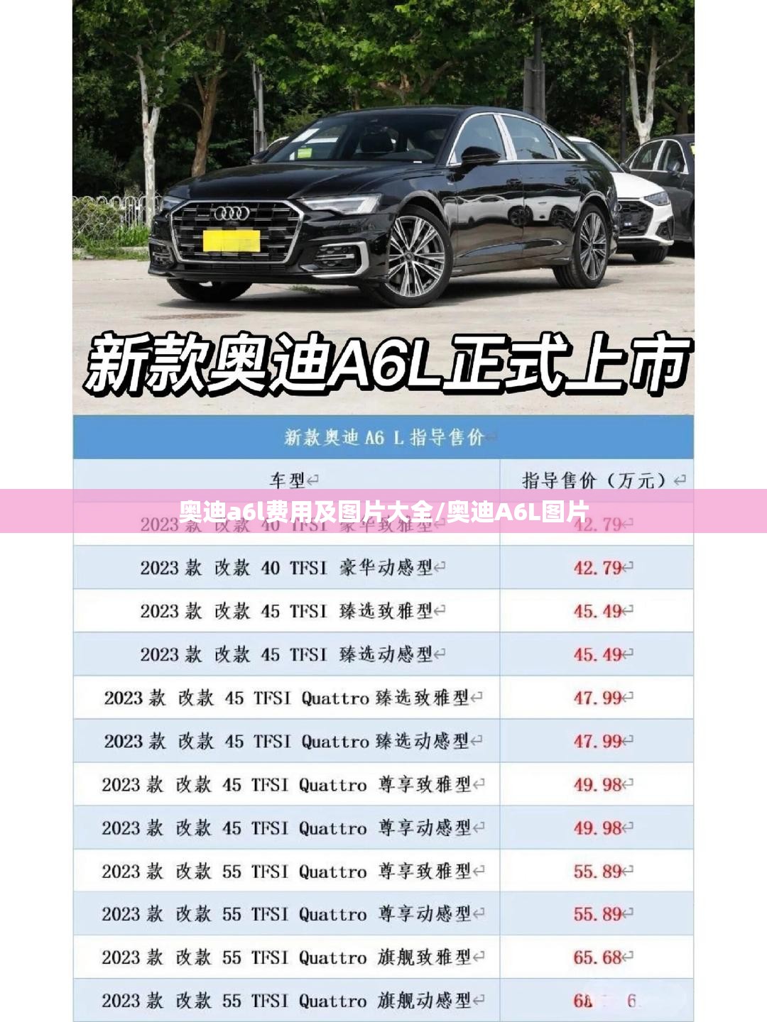 奥迪a6l费用及图片大全/奥迪A6L图片 奥迪a6l费用及图片大全/奥迪A6L图片