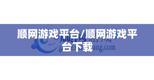 顺网游戏平台/顺网游戏平台下载