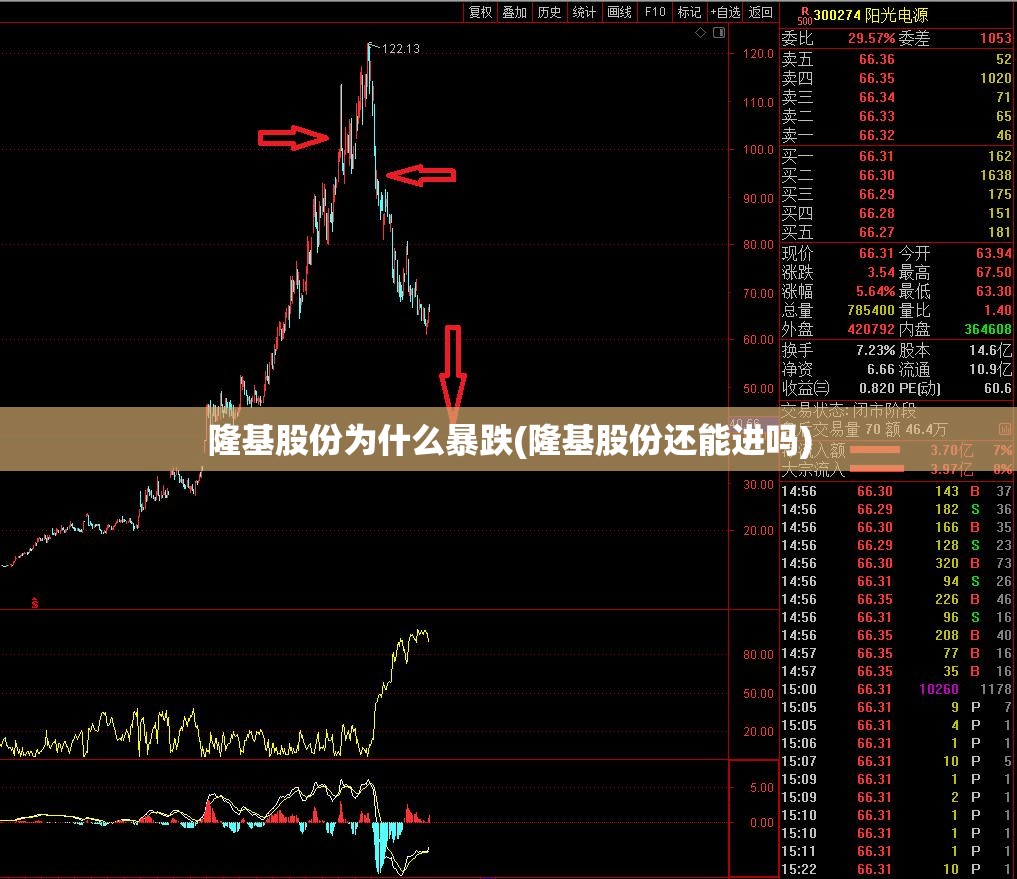 隆基股份为什么暴跌(隆基股份还能进吗) 隆基股份为什么暴跌(隆基股份还能进吗)