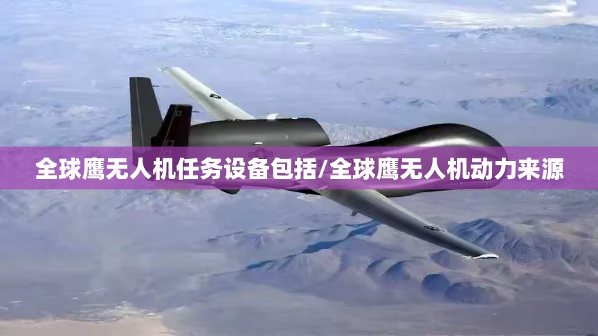 全球鹰无人机任务设备包括/全球鹰无人机动力来源 全球鹰无人机任务设备包括/全球鹰无人机动力来源