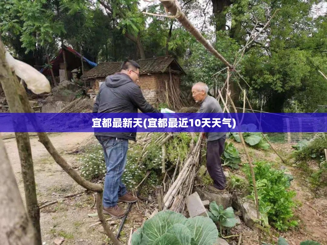宜都最新天(宜都最近10天天气) 宜都最新天(宜都最近10天天气)