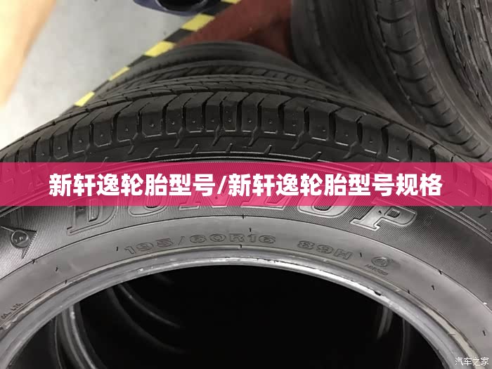 新轩逸轮胎型号/新轩逸轮胎型号规格 新轩逸轮胎型号/新轩逸轮胎型号规格