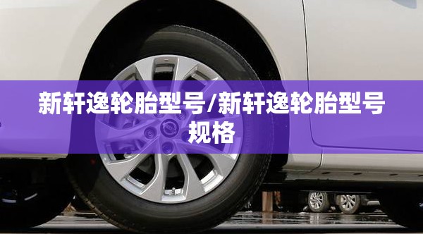 新轩逸轮胎型号/新轩逸轮胎型号规格 新轩逸轮胎型号/新轩逸轮胎型号规格