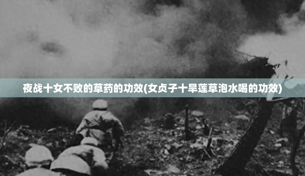 夜战十女不败的草药的功效(女贞子十旱莲草泡水喝的功效)