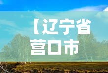 【辽宁省营口市天气预报15天查询,辽宁省营口市天气预报15天查询结果】