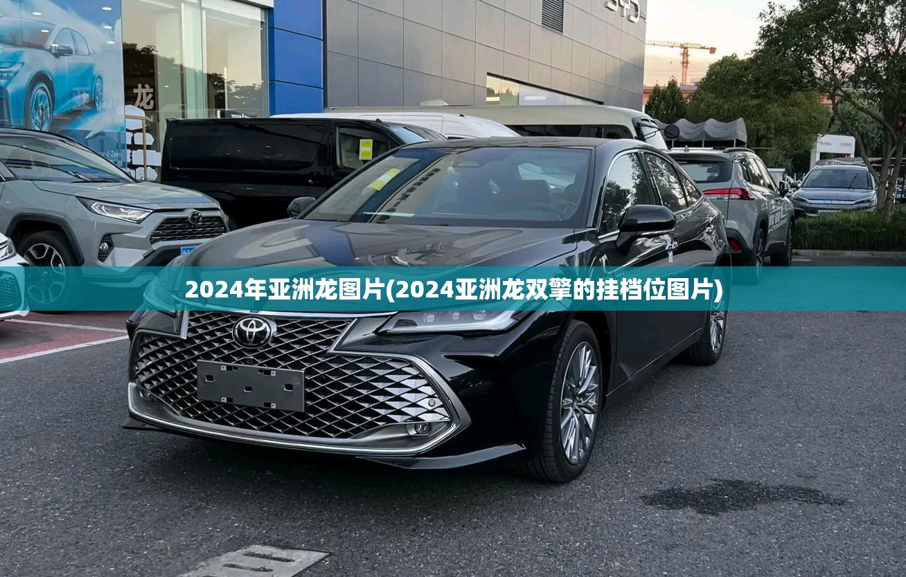 2024年亚洲龙图片(2024亚洲龙双擎的挂档位图片) 2024年亚洲龙图片(2024亚洲龙双擎的挂档位图片)