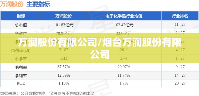 万润股份有限公司/烟台万润股份有限公司 万润股份有限公司/烟台万润股份有限公司