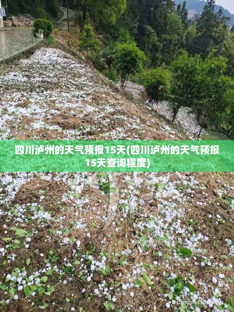 四川泸州的天气预报15天(四川泸州的天气预报15天查询程度)