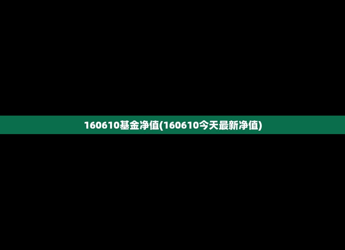 160610基金净值(160610今天最新净值)