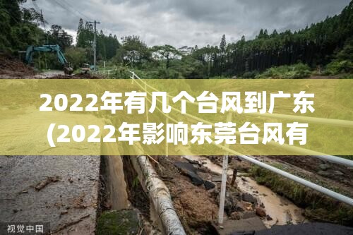 2022年有几个台风到广东(2022年影响东莞台风有几个) 2022年有几个台风到广东(2022年影响东莞台风有几个)