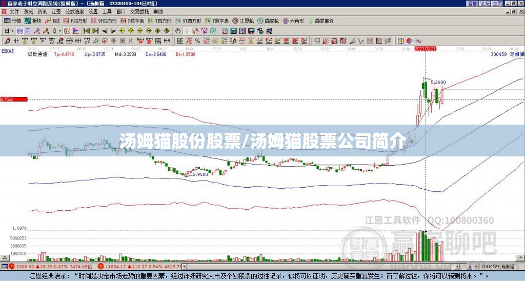 汤姆猫股份股票/汤姆猫股票公司简介 汤姆猫股份股票/汤姆猫股票公司简介