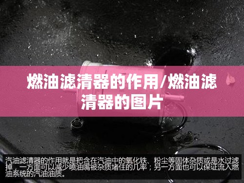 燃油滤清器的作用/燃油滤清器的图片