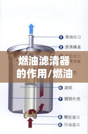 燃油滤清器的作用/燃油滤清器的图片
