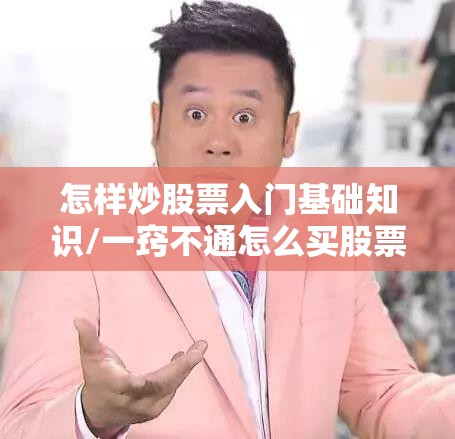 怎样炒股票入门基础知识/一窍不通怎么买股票 怎样炒股票入门基础知识/一窍不通怎么买股票