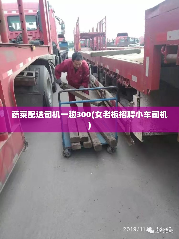 蔬菜配送司机一趟300(女老板招聘小车司机)