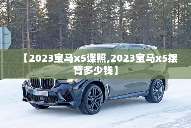 【2023宝马x5谍照,2023宝马x5摆臂多少钱】