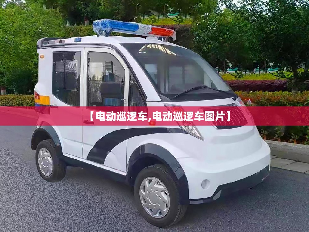 【电动巡逻车,电动巡逻车图片】 【电动巡逻车,电动巡逻车图片】