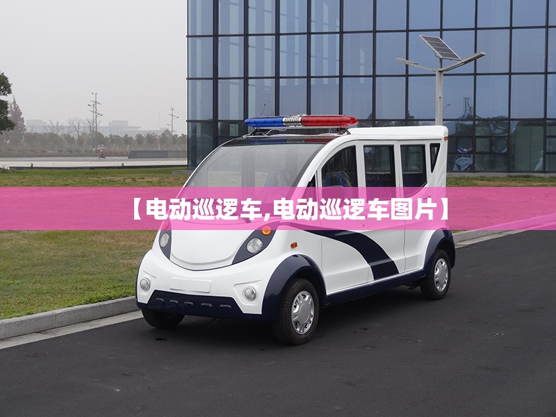 【电动巡逻车,电动巡逻车图片】 【电动巡逻车,电动巡逻车图片】