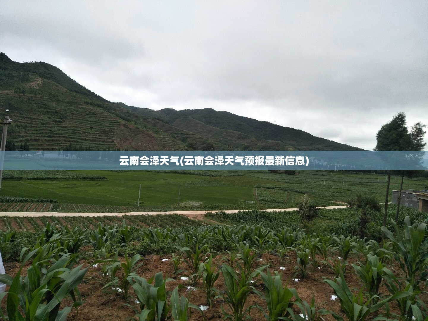 云南会泽天气(云南会泽天气预报最新信息) 云南会泽天气(云南会泽天气预报最新信息)