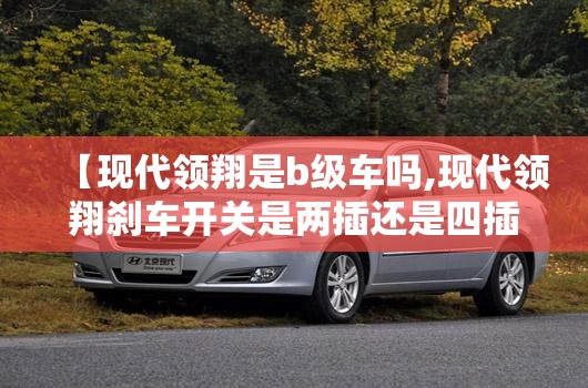 【现代领翔是b级车吗,现代领翔刹车开关是两插还是四插的】 【现代领翔是b级车吗,现代领翔刹车开关是两插还是四插的】