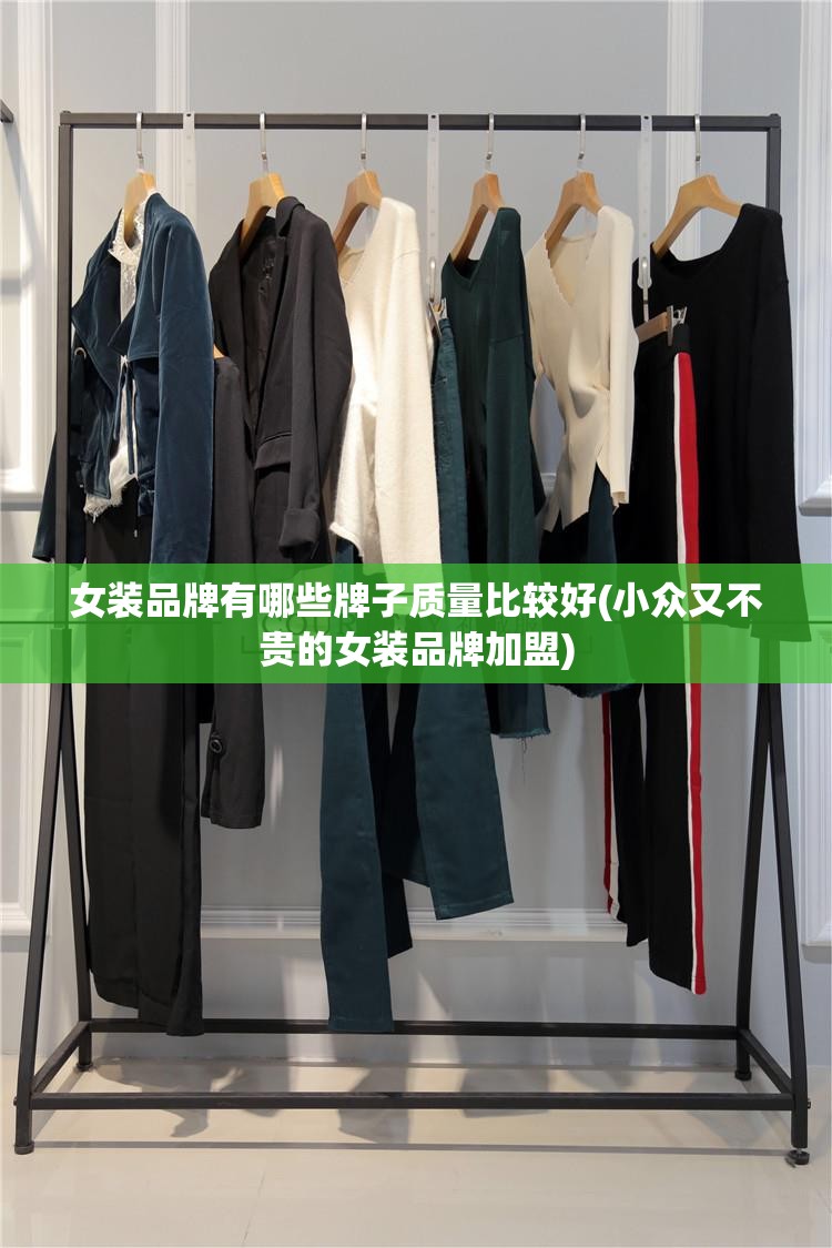 女装品牌有哪些牌子质量比较好(小众又不贵的女装品牌加盟)