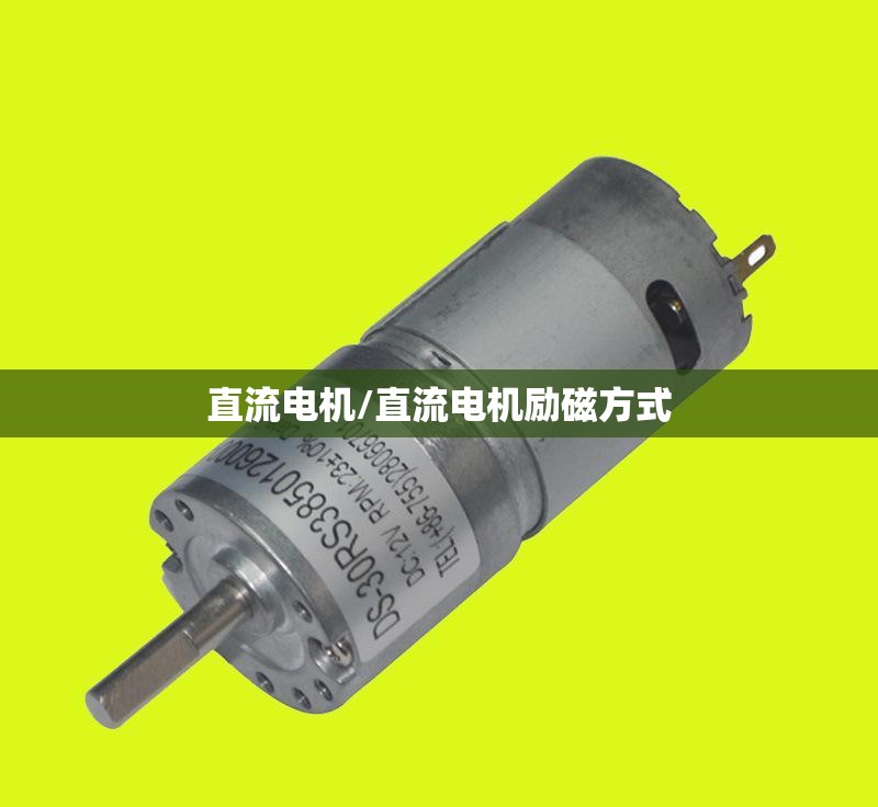 直流电机/直流电机励磁方式 直流电机/直流电机励磁方式