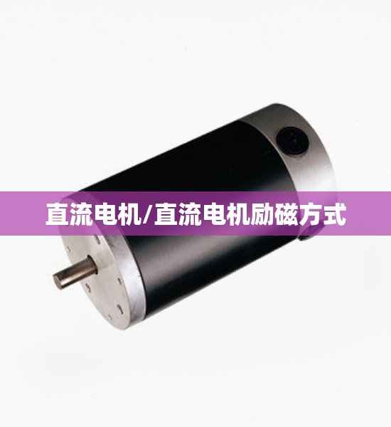 直流电机/直流电机励磁方式 直流电机/直流电机励磁方式