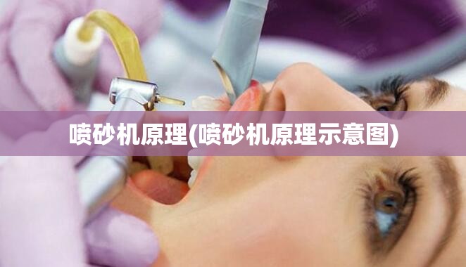 喷砂机原理(喷砂机原理示意图) 喷砂机原理(喷砂机原理示意图)