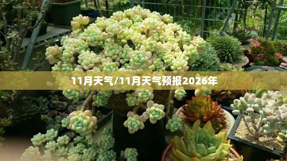 11月天气/11月天气预报2026年 11月天气/11月天气预报2026年