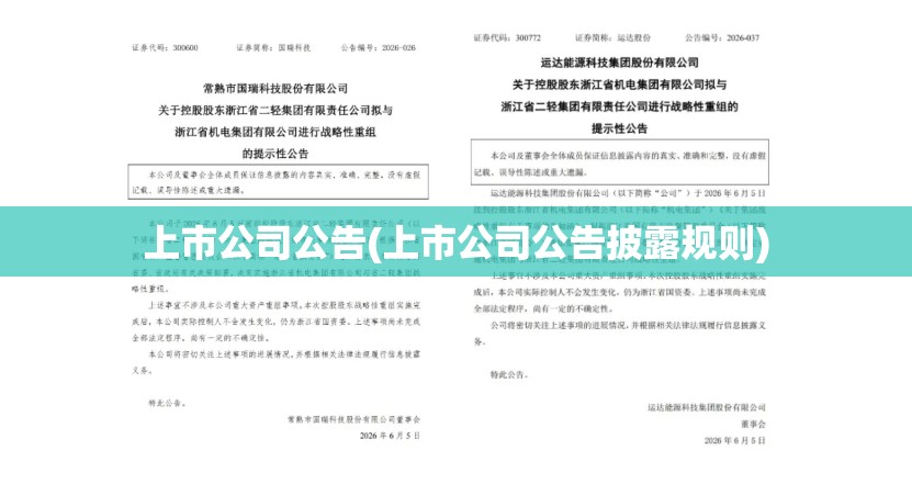 上市公司公告(上市公司公告披露规则)