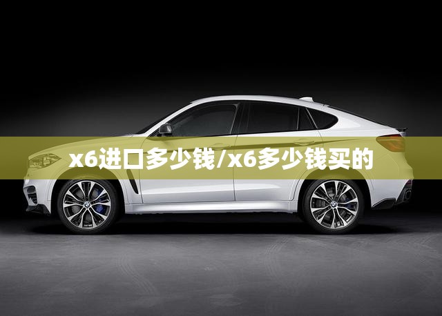 x6进口多少钱/x6多少钱买的 x6进口多少钱/x6多少钱买的
