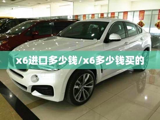 x6进口多少钱/x6多少钱买的 x6进口多少钱/x6多少钱买的
