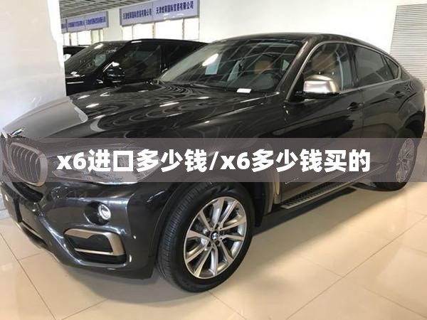 x6进口多少钱/x6多少钱买的 x6进口多少钱/x6多少钱买的