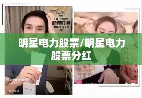 明星电力股票/明星电力股票分红 明星电力股票/明星电力股票分红