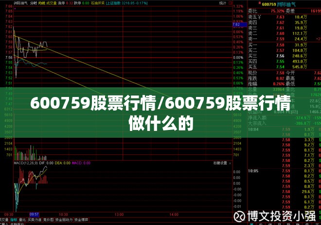 600759股票行情/600759股票行情做什么的 600759股票行情/600759股票行情做什么的