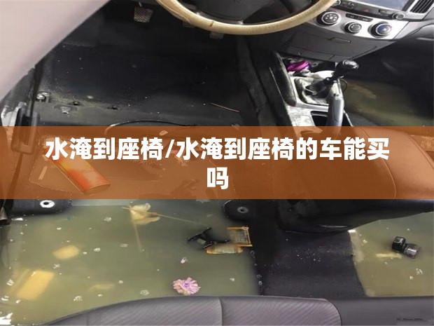 水淹到座椅/水淹到座椅的车能买吗 水淹到座椅/水淹到座椅的车能买吗