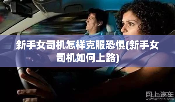 新手女司机怎样克服恐惧(新手女司机如何上路)