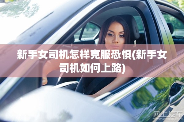 新手女司机怎样克服恐惧(新手女司机如何上路)