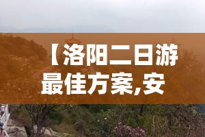 【洛阳二日游最佳方案,安阳去洛阳二日游最佳方案】